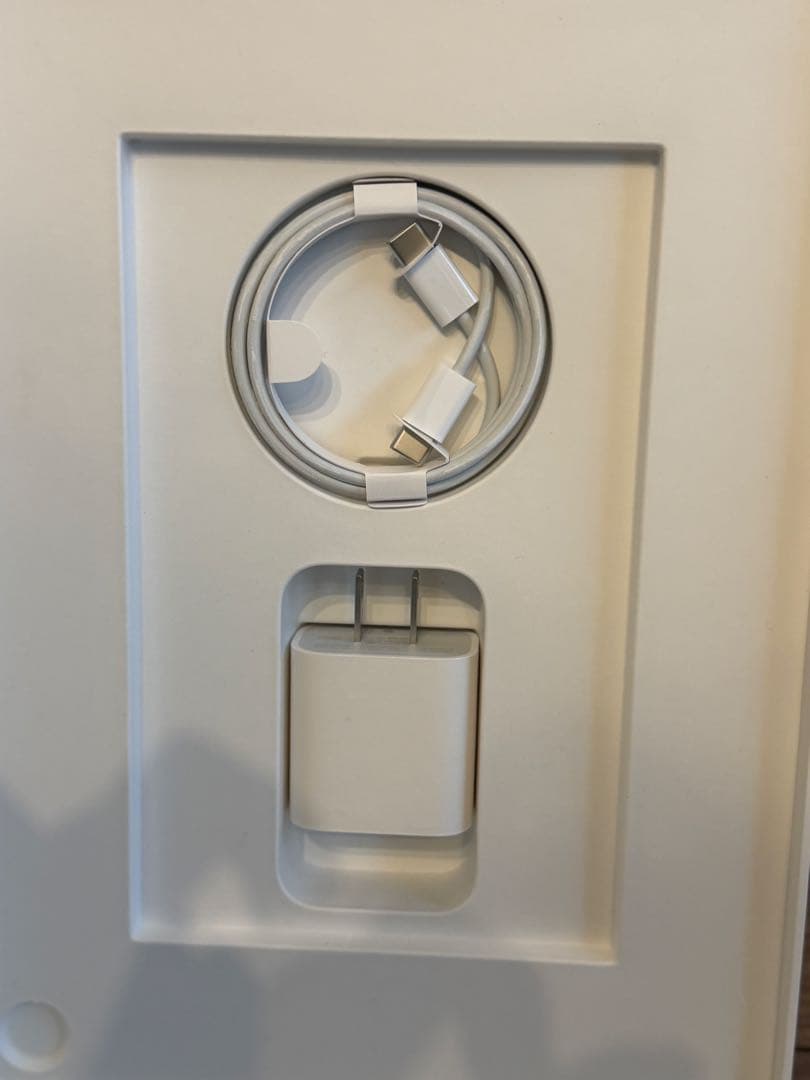 iPad Pro 11“シルバー Wi-Fiモデル 256GB (付属品完備)