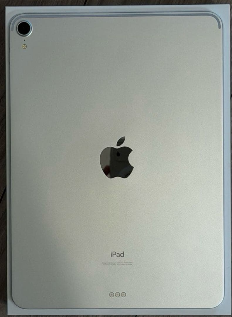 iPad Pro 11“シルバー Wi-Fiモデル 256GB (付属品完備)