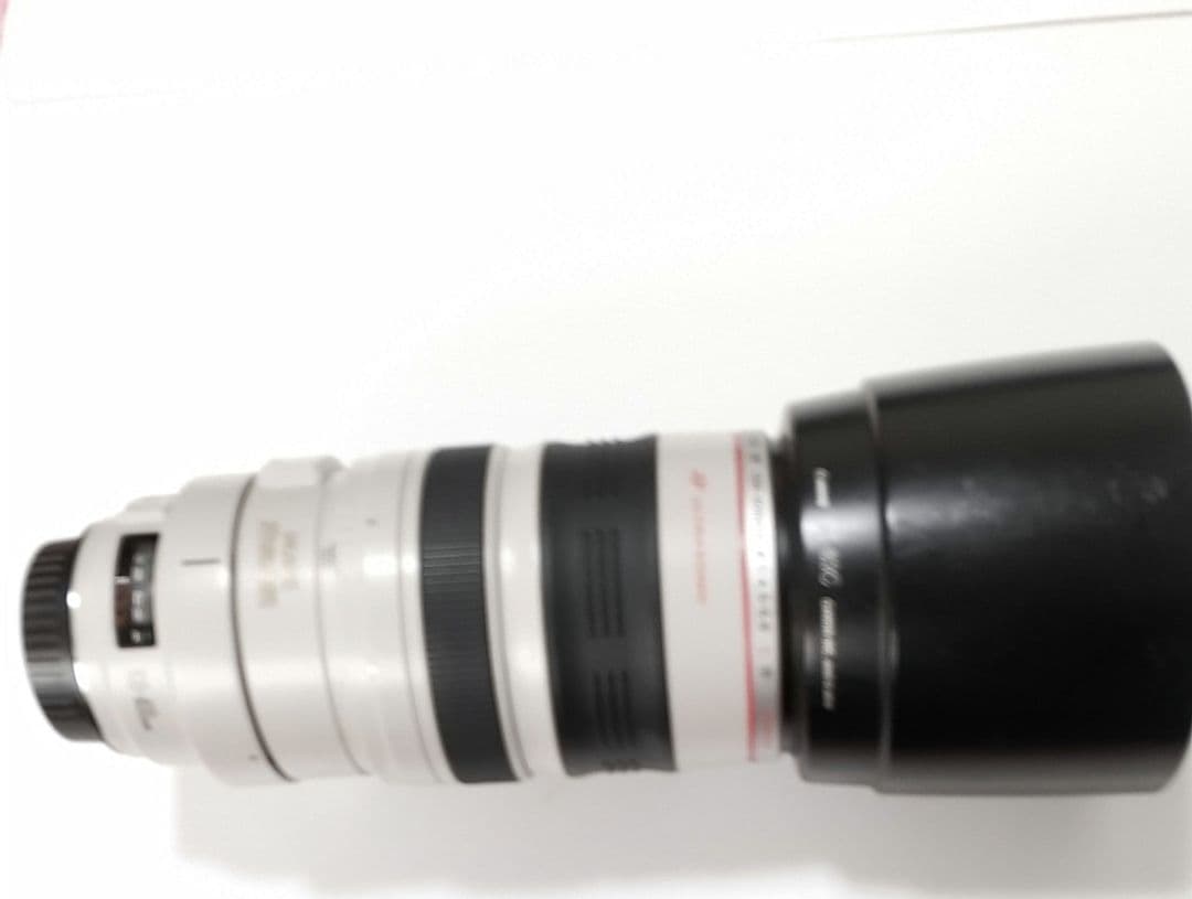 レンズ(ズーム) Canon EF100-400mm f/4.5-5.6L IS USM