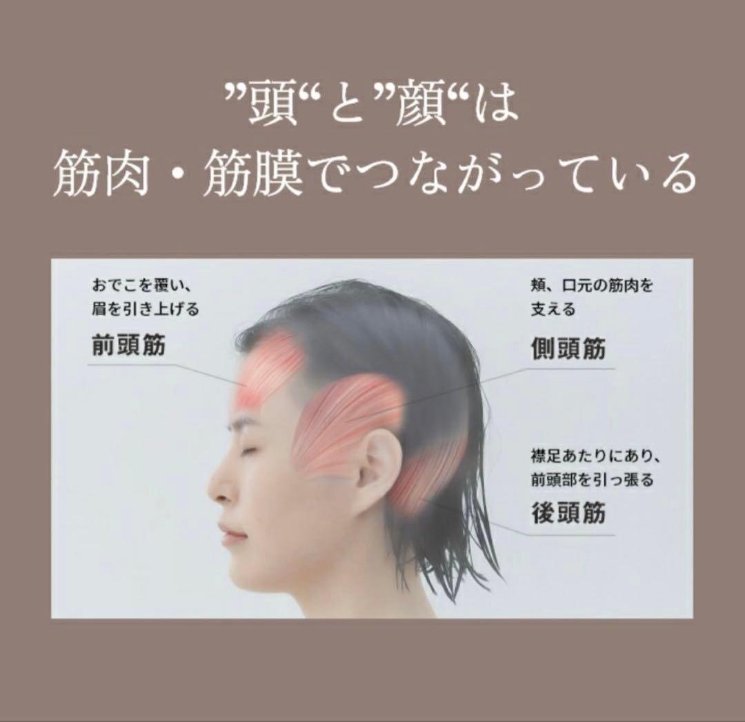 Panasonic バイタリフトブラシ EH-SP60-H 美顔器