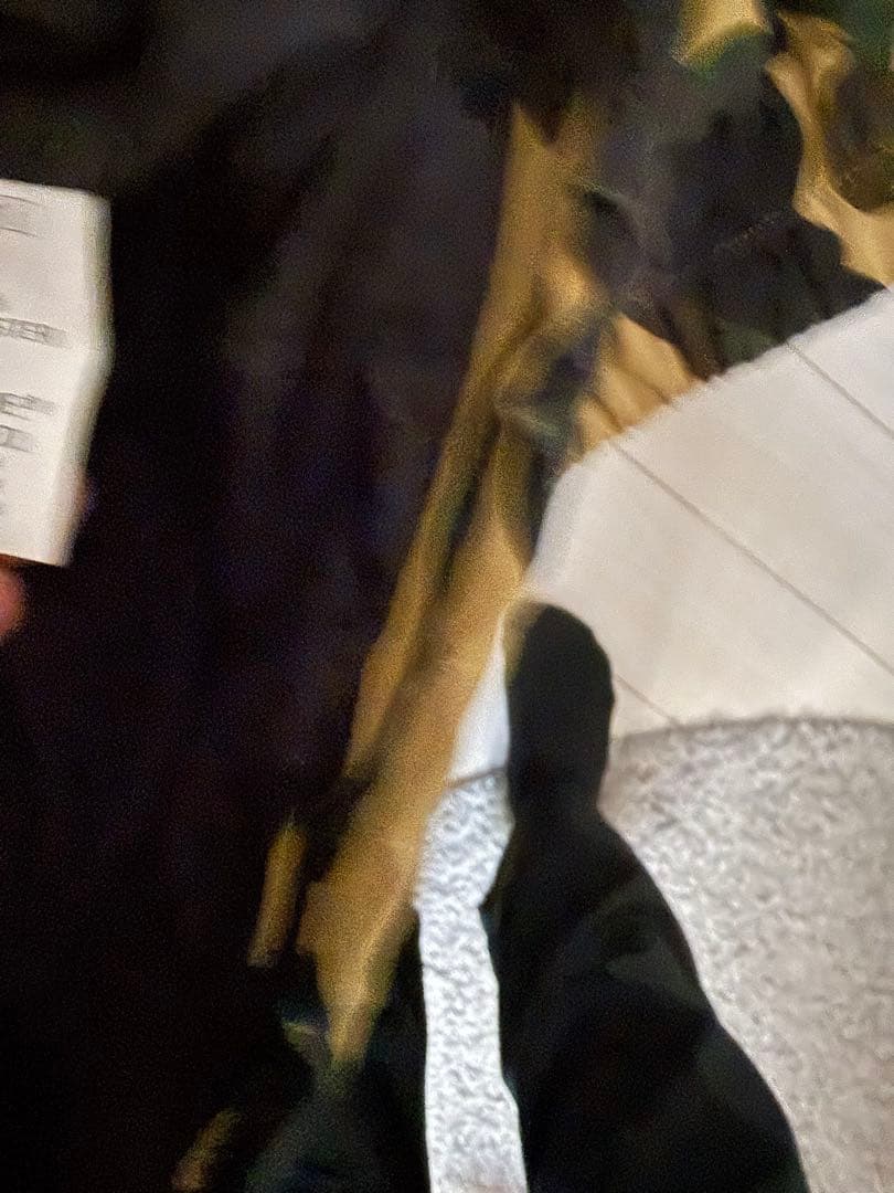 名作 APEスノボジャケットGORE-TEXイエローカモ黄迷彩