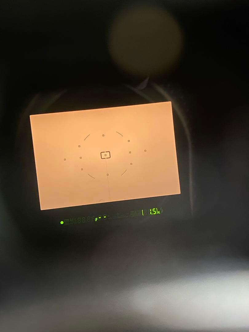 Nikon D80 デジタル一眼 AF NIKKOR 70-300 5078枚