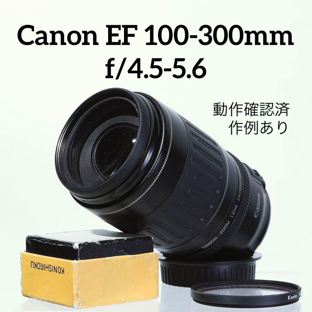 【完動品】Canon EF 100-300mm f/4.5-5.6 ズームレンズ