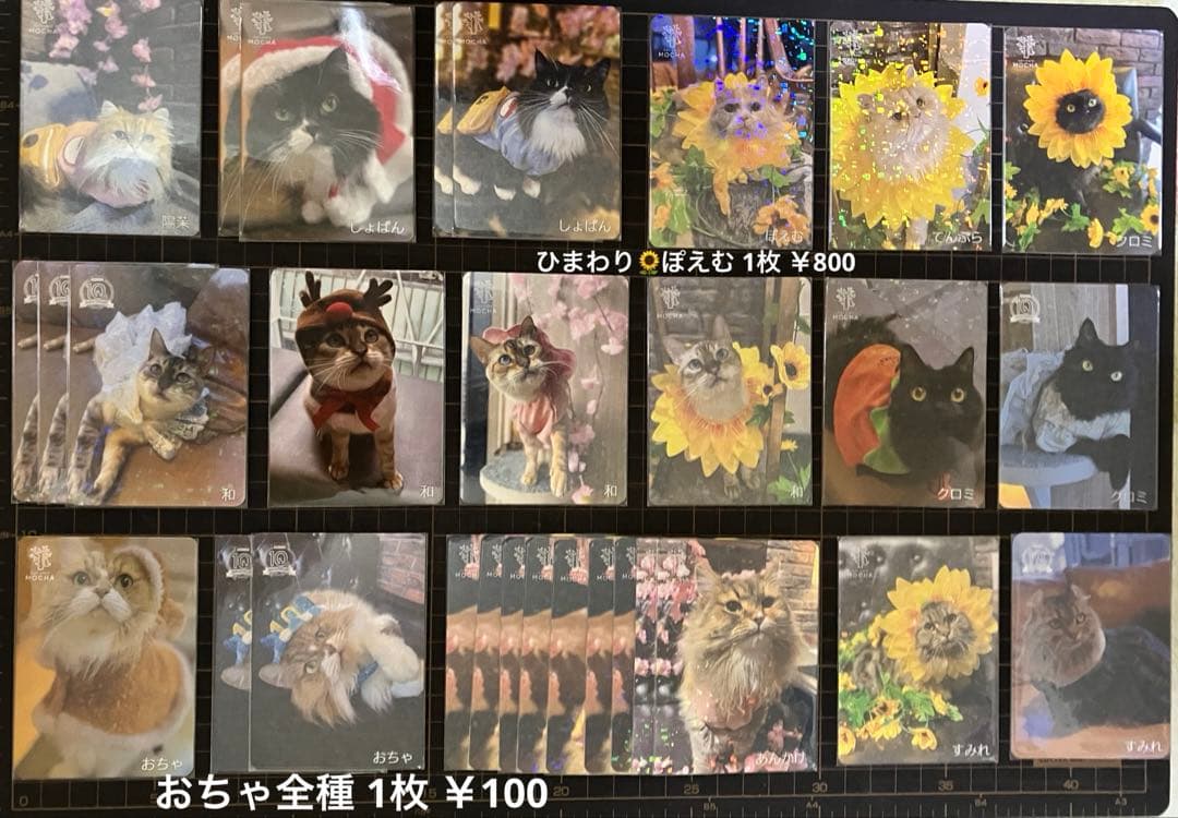 猫カフェmocha にゃんずトレカ バラ売り⭕️