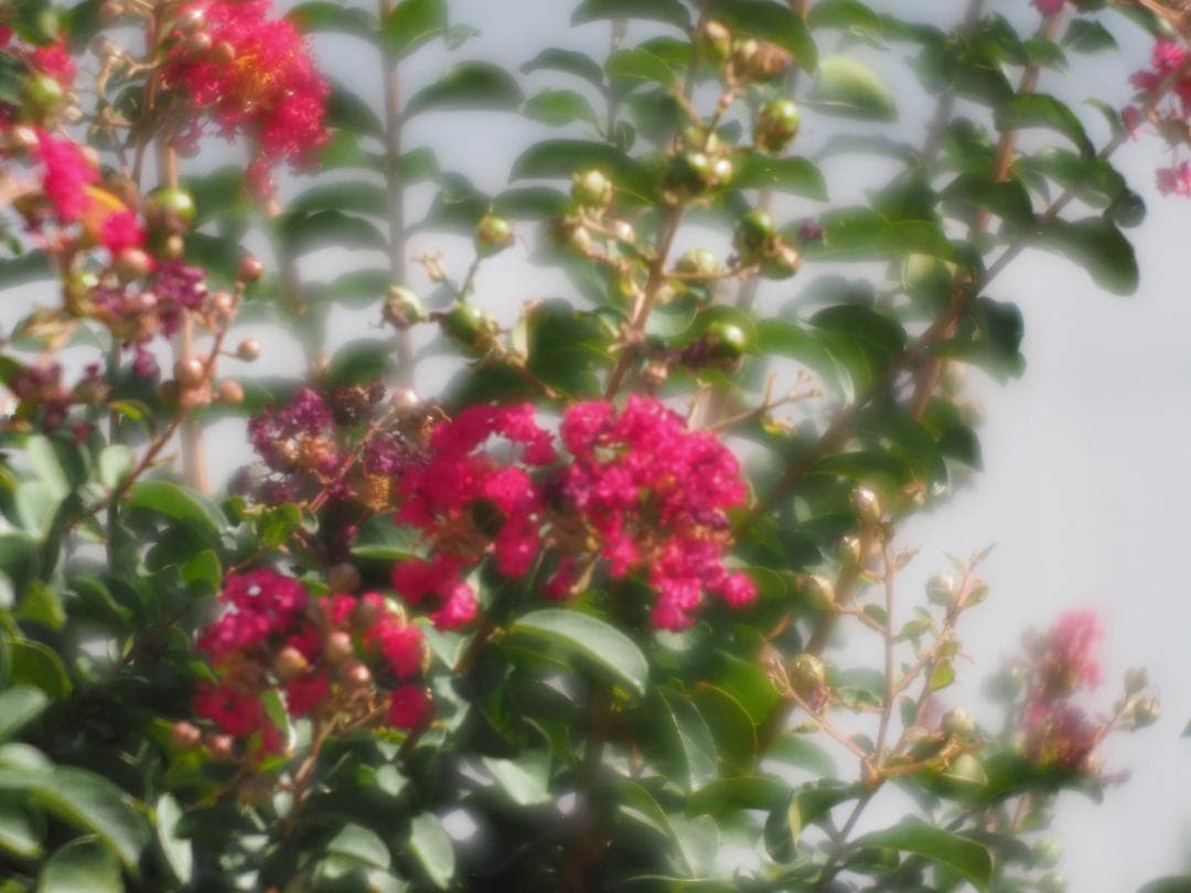 OLYMPUS OM-D E-M10 ダブルレンズキット スマホ転送OK