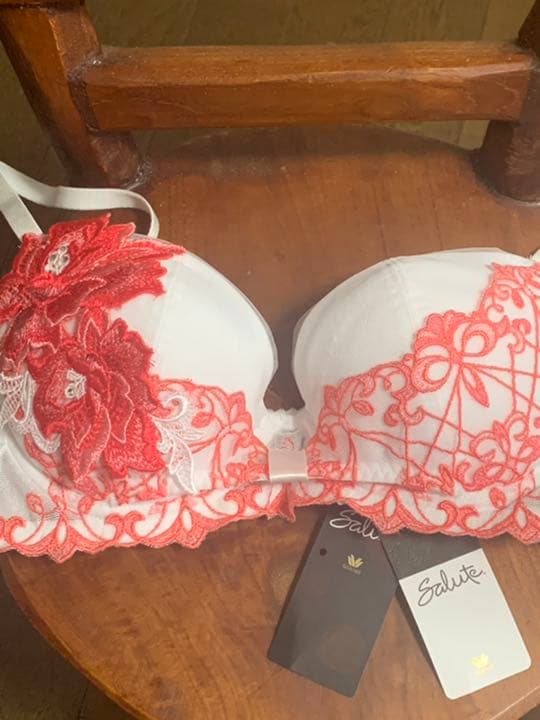 サルート　C75ブラ&ショーツセット【最終価格】