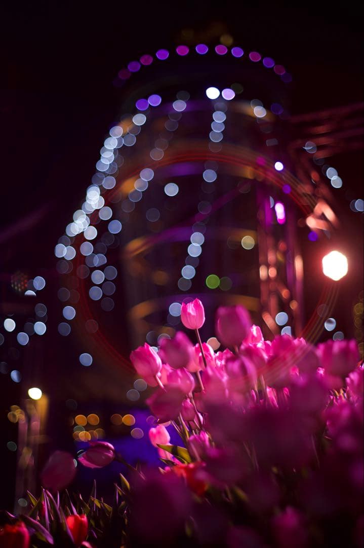 Nikon Z6 ボディ　ミラーレス一眼カメラ