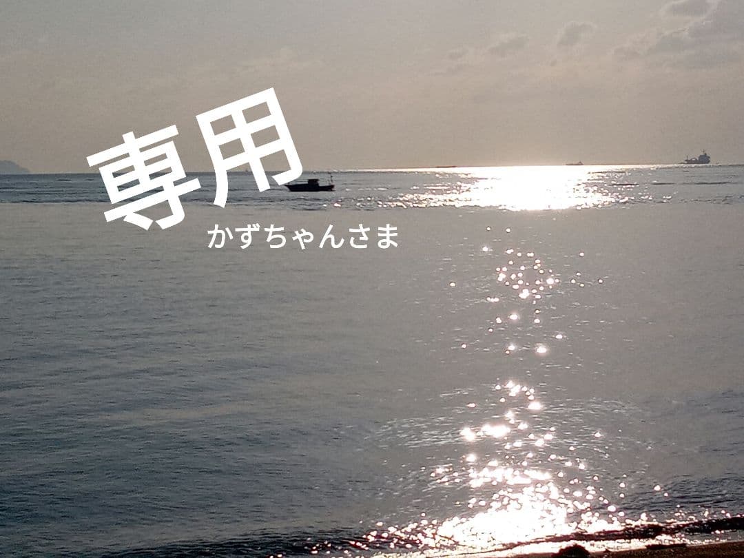 専用…かずちゃんさま