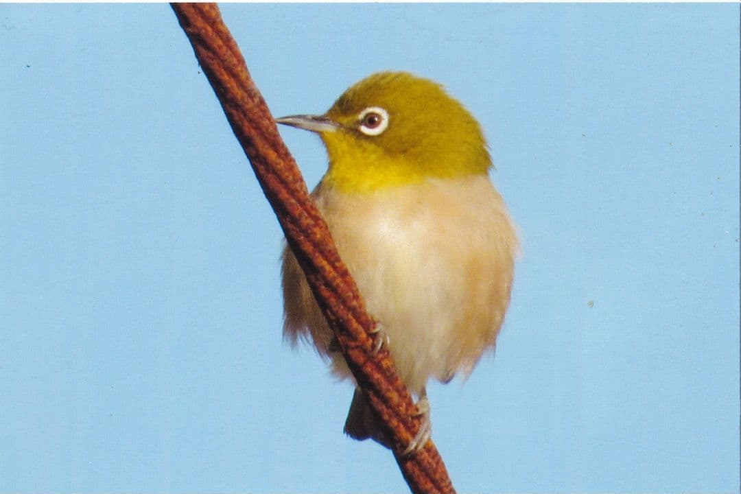 専用…かずちゃんさま