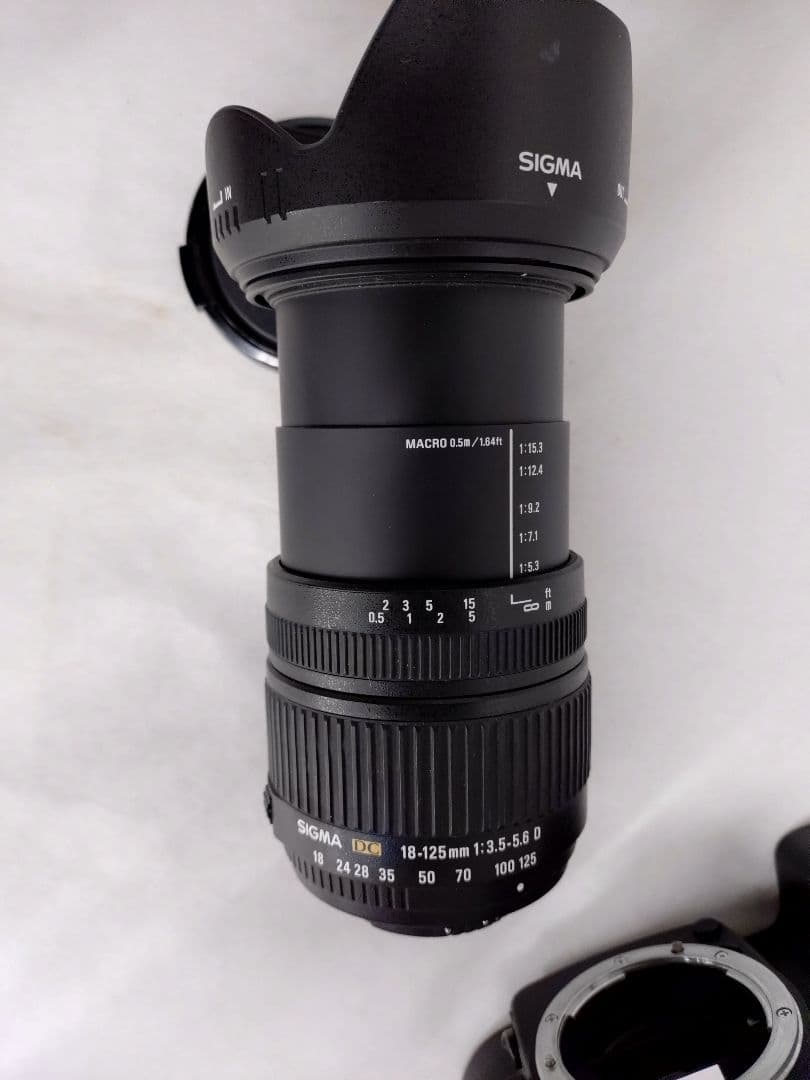 Nikon D80 Sigma 18-125mmレンズセット