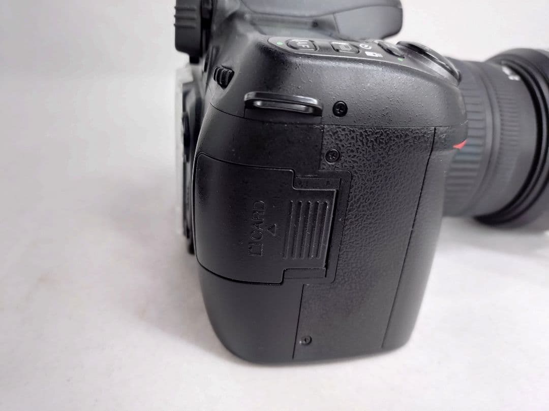 Nikon D80 Sigma 18-125mmレンズセット