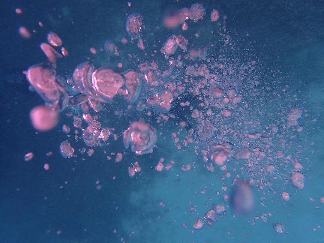 【shin】Paul Smith ブラック トートバッグ 他