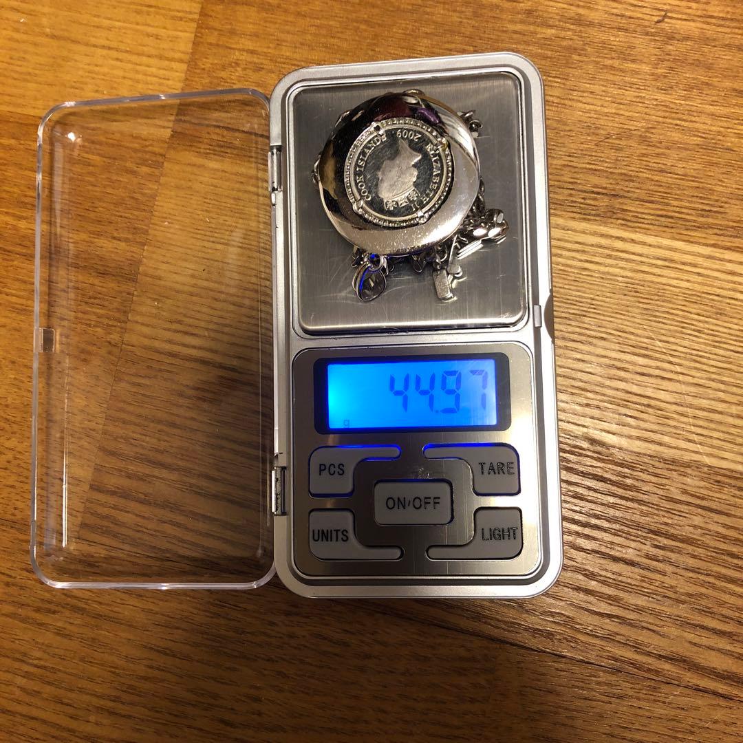 純銀　イルカ　1/10オンス　エリザベス2世　メンズネックレス　シルバー