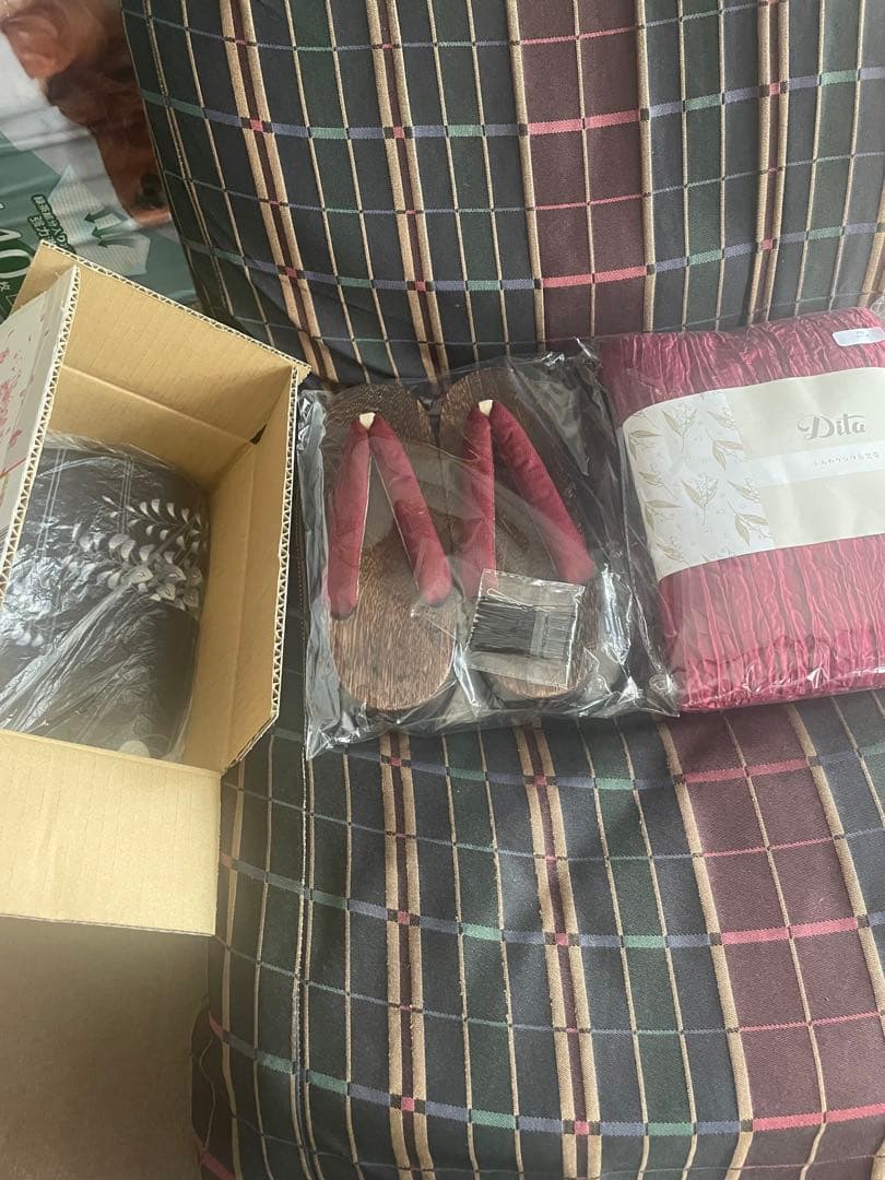 dita 凪の藤ながれ