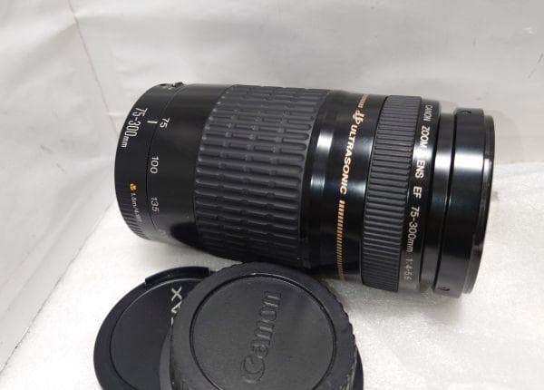 ★人気！極上★CANON キヤノン EF 75-300mm F4-5.6 USM