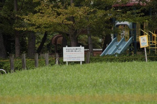 ★人気！極上★CANON キヤノン EF 75-300mm F4-5.6 USM