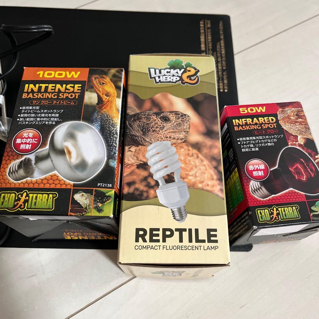 ミントのくちばし　