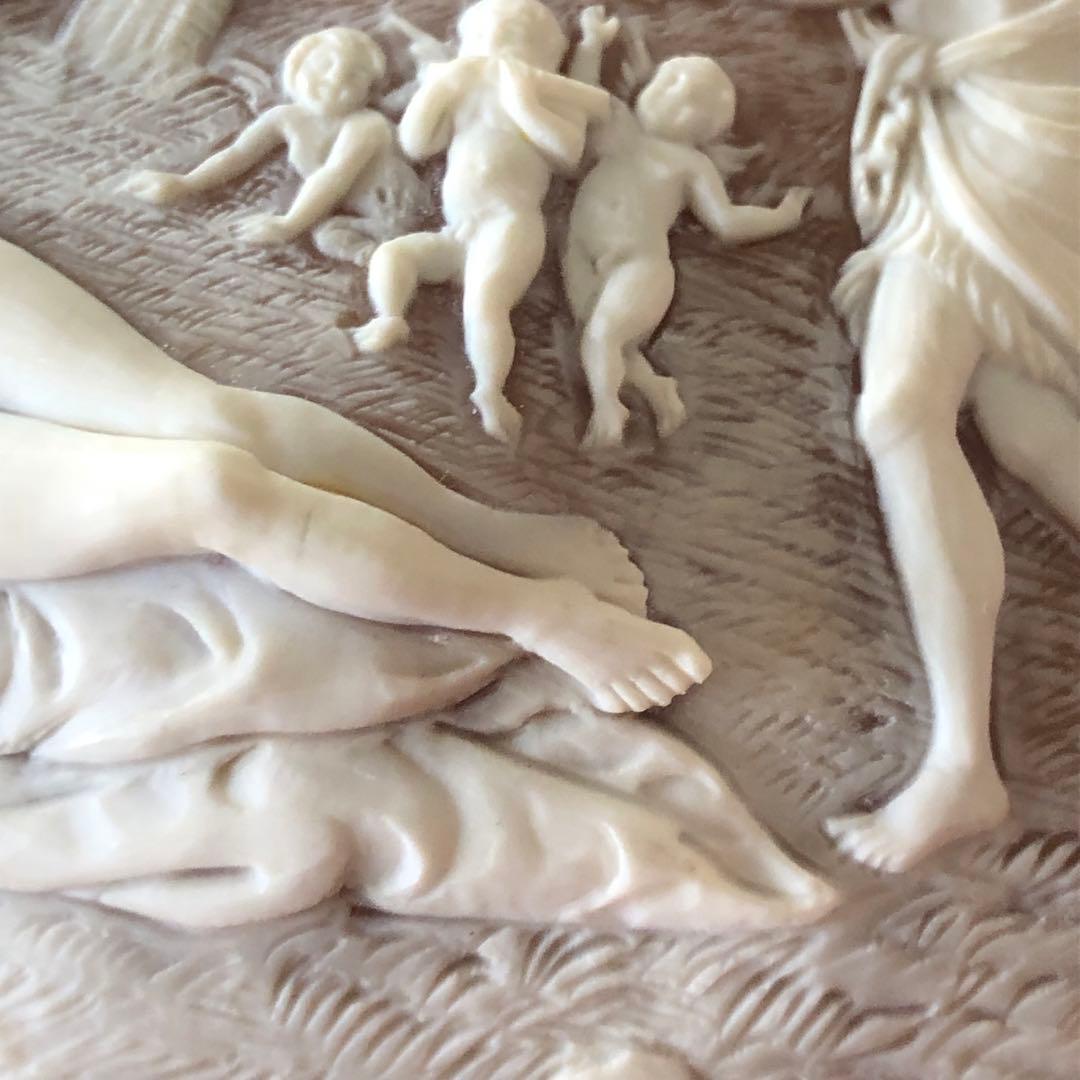 シェルカメオ　オーバル　ルース　アメンドーラ