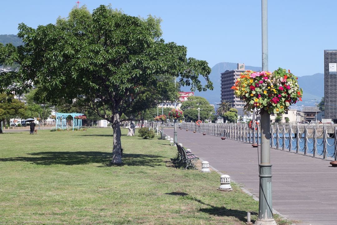 ★ OLYMPUS OM-1 (使用説明書付)+ ★ 標準レンズ 50mm