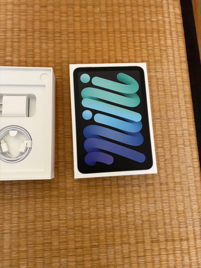 最新 iPad mini Wi-Fi + Cellular 第7世代128GB