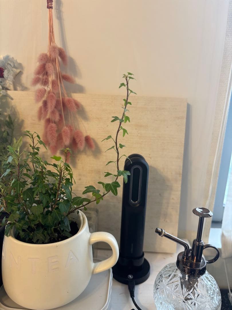 マイトレックスプルーブコアMYTREX PROOVE CORE 美顔器