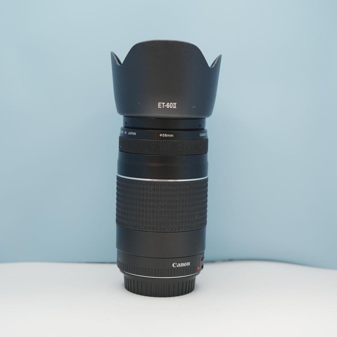 Canon純正 75-300mm 望遠レンズ 美品 a4526