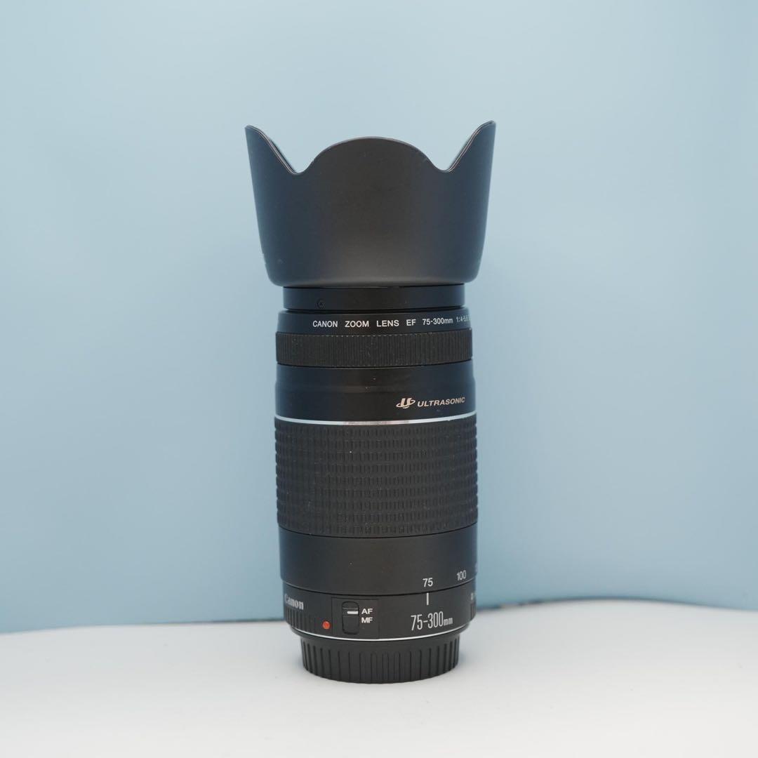 Canon純正 75-300mm 望遠レンズ 美品 a4526