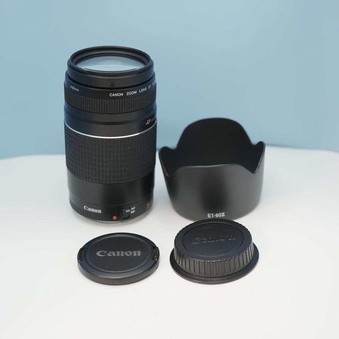 Canon純正 75-300mm 望遠レンズ 美品 a4526