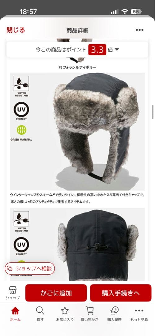 帽子 THE NORTH FACE INSULATION BOMBER CAP