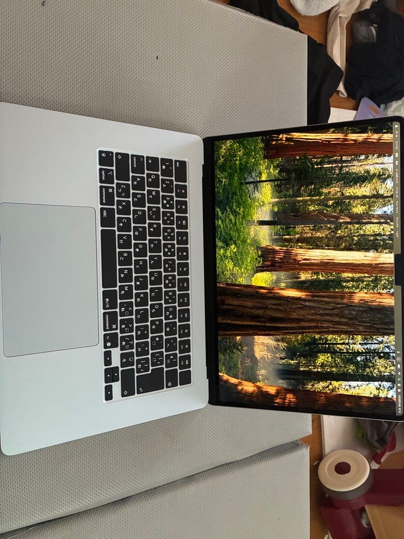 [ベイビーボス様]MacBook Air 15 M4 /