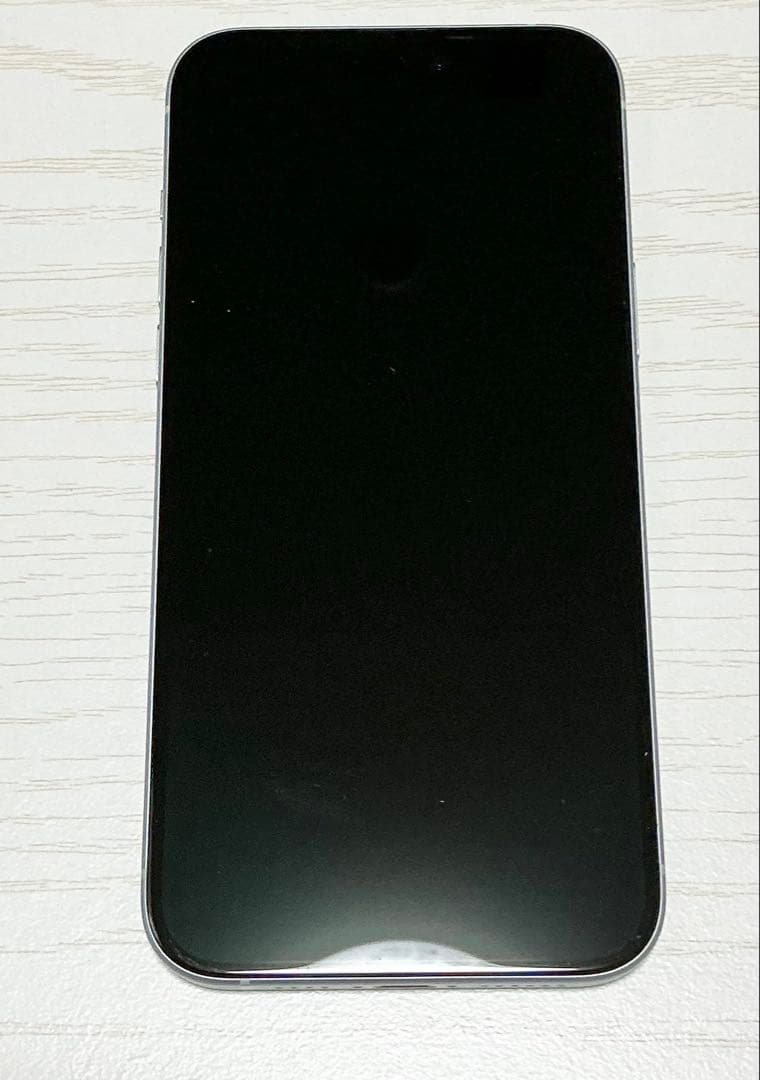 アップル Apple iPhone 15 Plus 128GB ブルー　ケース付