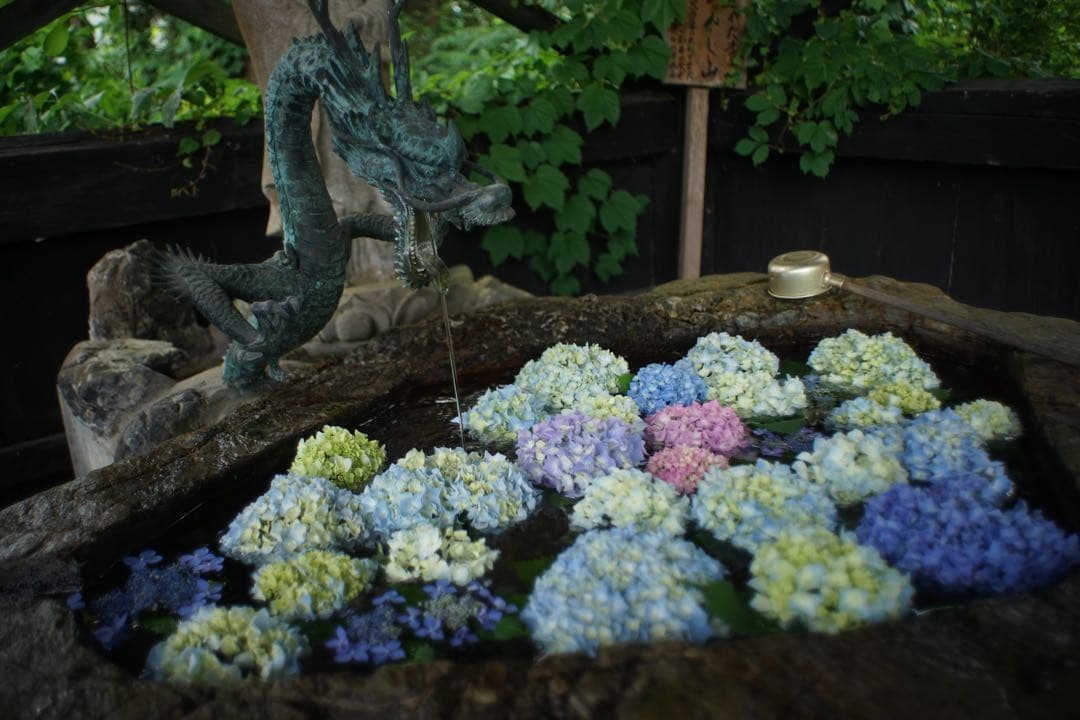 作例付き　PETRI 28mm F2.8 M42 管mpr