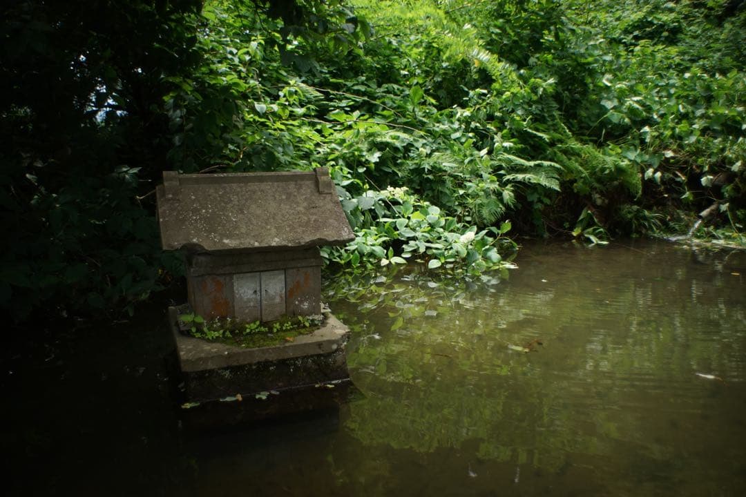 作例付き　PETRI 28mm F2.8 M42 管mpr