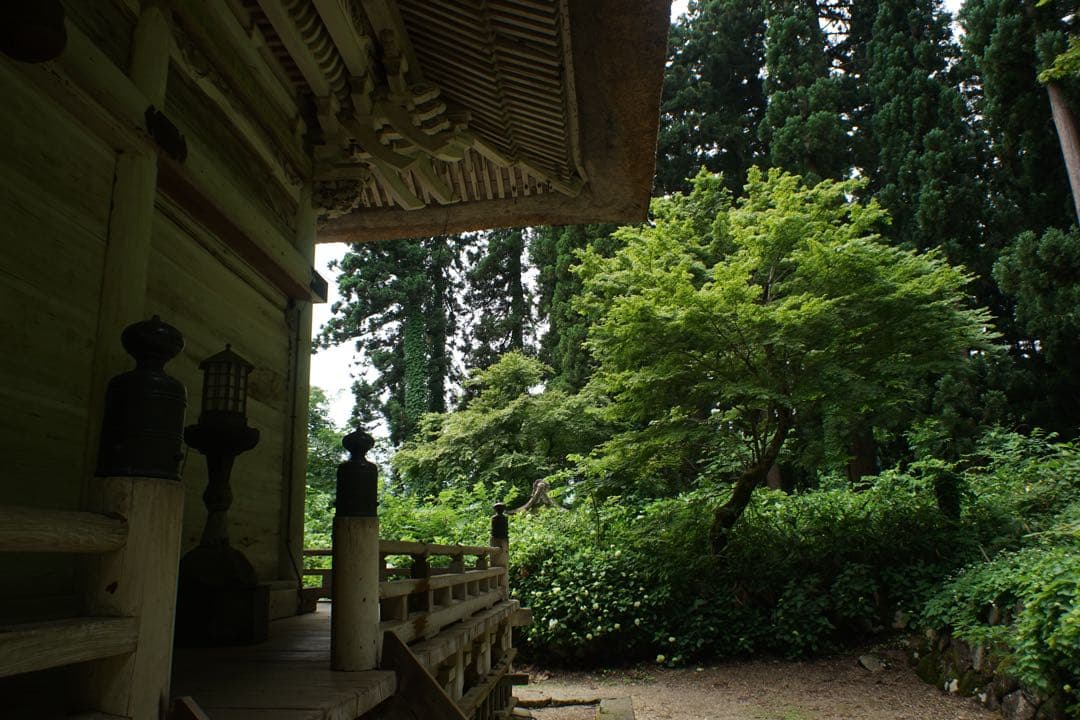 作例付き　PETRI 28mm F2.8 M42 管mpr