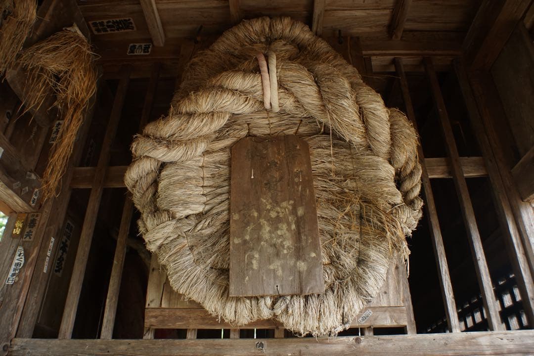 作例付き　PETRI 28mm F2.8 M42 管mpr