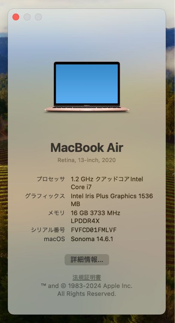 【メモリ16GB】Apple MacBook 本体 ローズゴールド