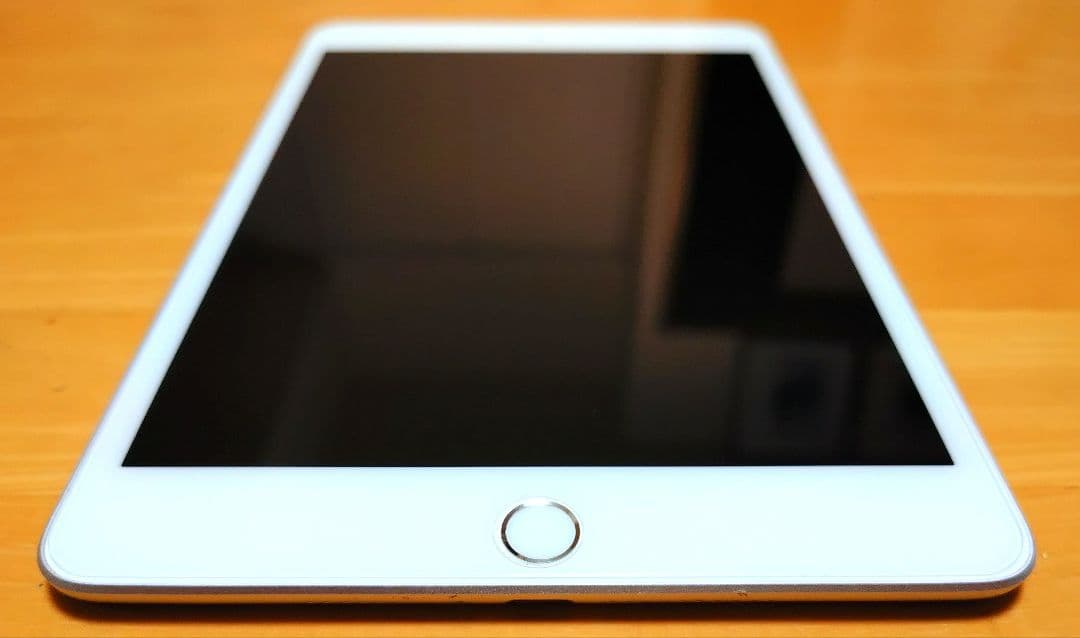ぴーさぽiPad mini 第5世代 64GB シルバー 美品おまけ付