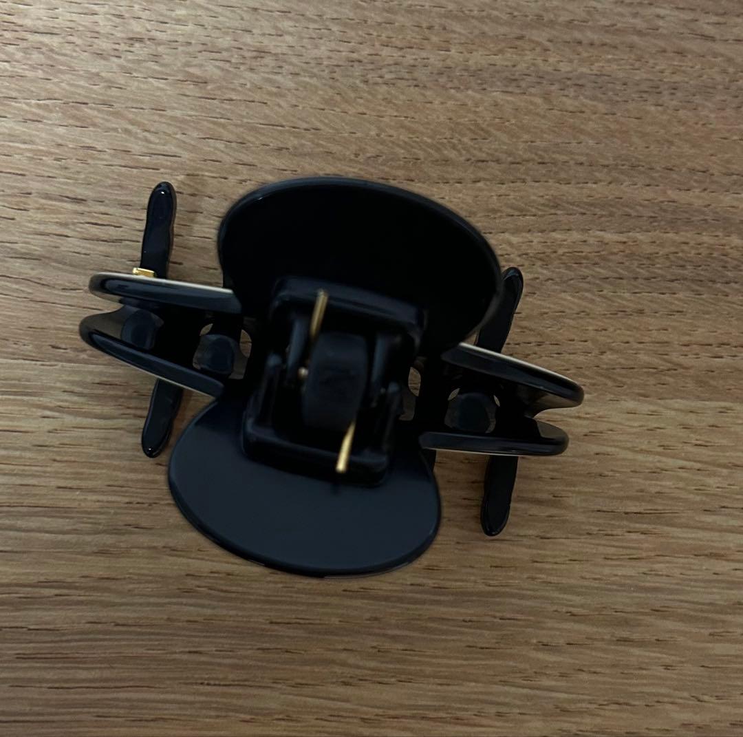 アレクサンドルドゥパリ　リズレ　LISERA Sヘアクリップ