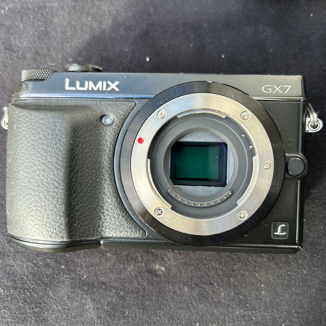 パナソニックGX7とLUMIX G h-hs12035