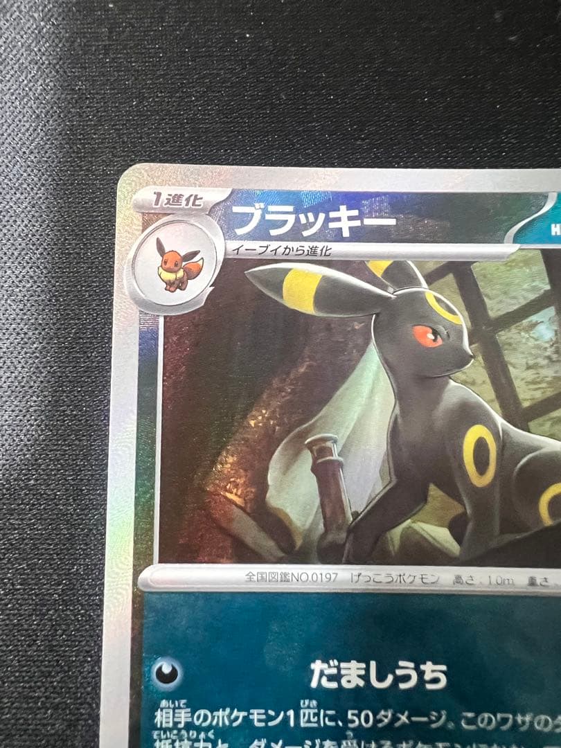 ブラッキー マスターボール