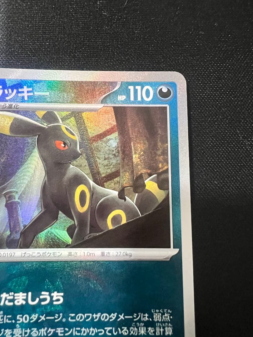 ブラッキー マスターボール