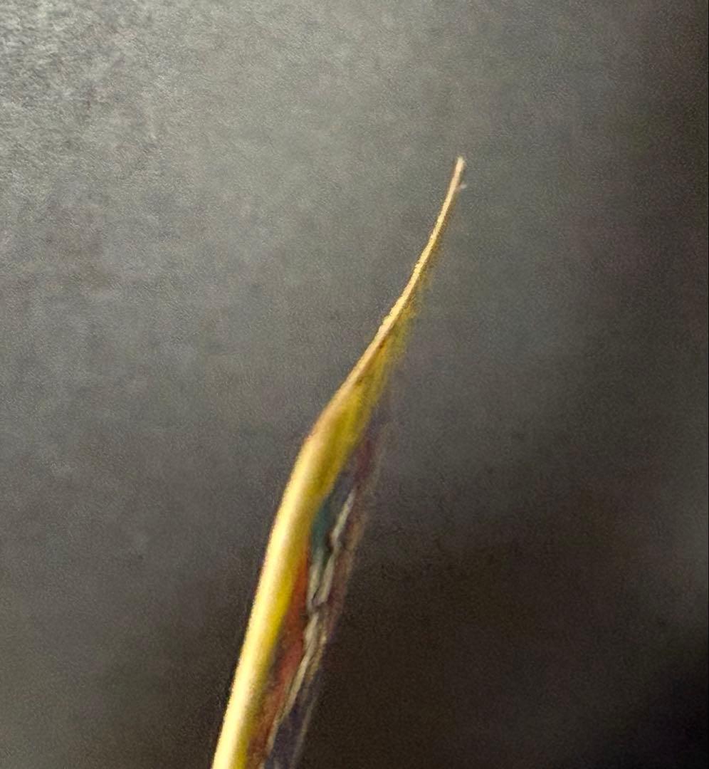 SD ガンダム カードダス 本弾 13弾 G13 500’ MEMORIAL