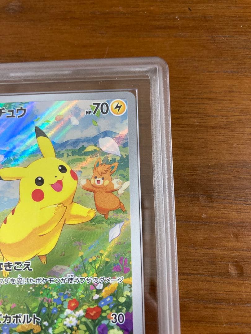 ピカチュウ 夏がキタ ars10