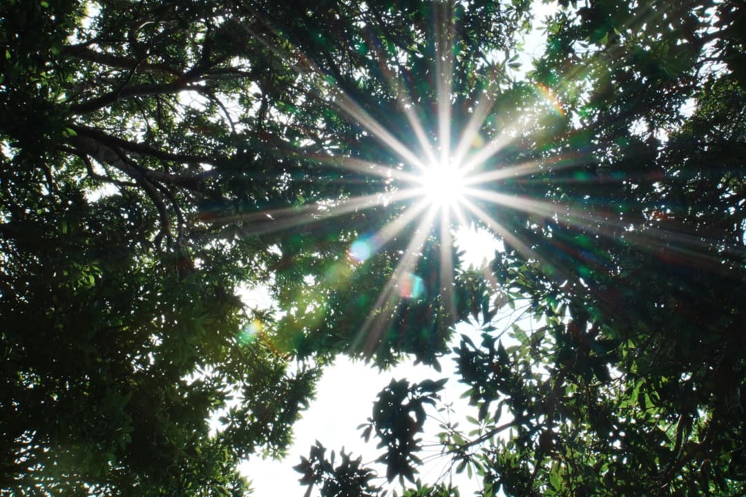 【これ1本】動作◎ SONY SEL18200LE 望遠ズームレンズ 668