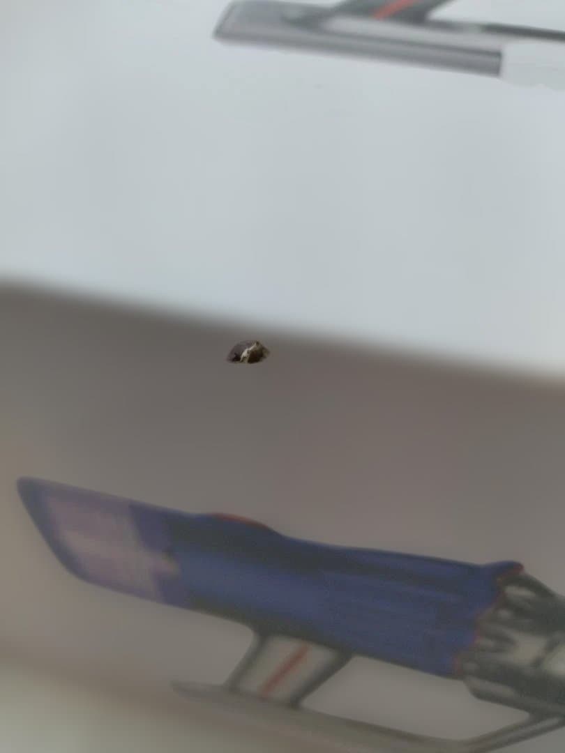 カ*ズ様 未使用☆ダイソン dyson V12 スティック掃除機 SV20【1-