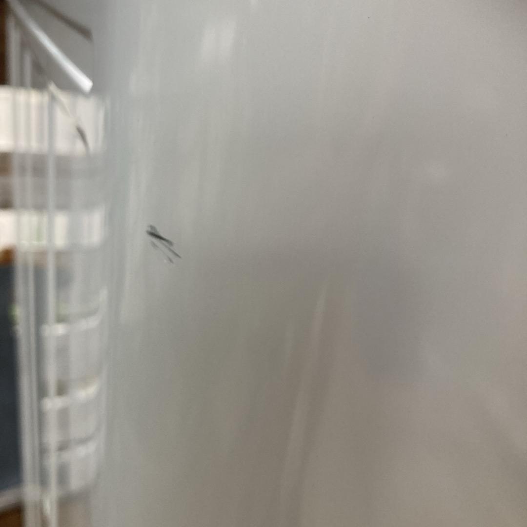 泰様　Panasonic 洗濯機 7kg 2019年製⑦