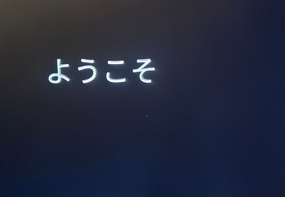 【引き取り限定】Sony Bravia 49型 ドット抜けあり