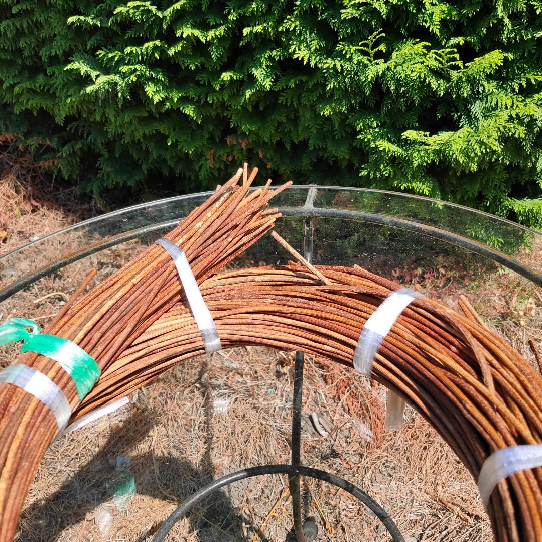 青森県岩木山採取　あけび蔓　150cm～　1kg