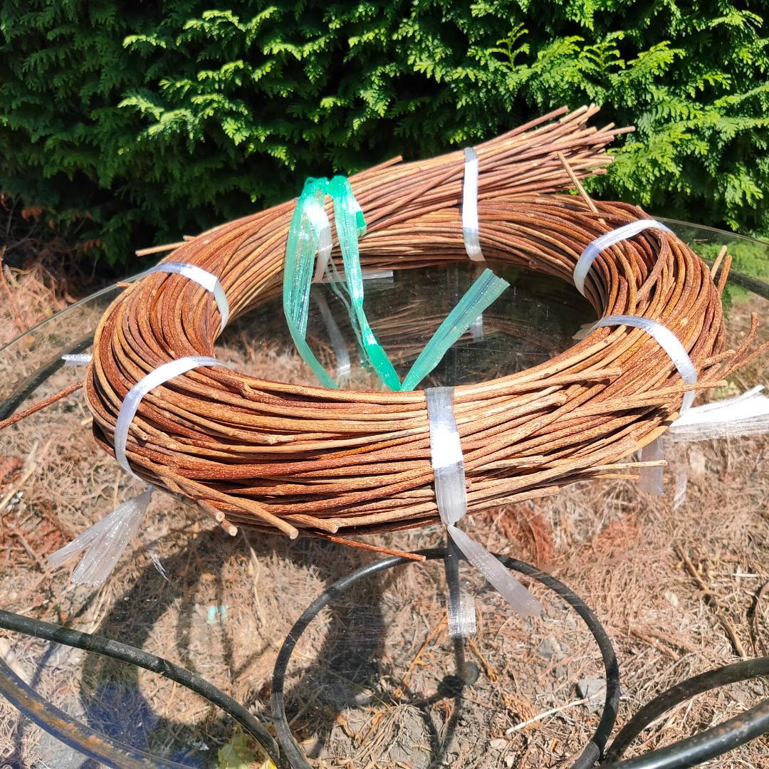 青森県岩木山採取　あけび蔓　150cm～　1kg