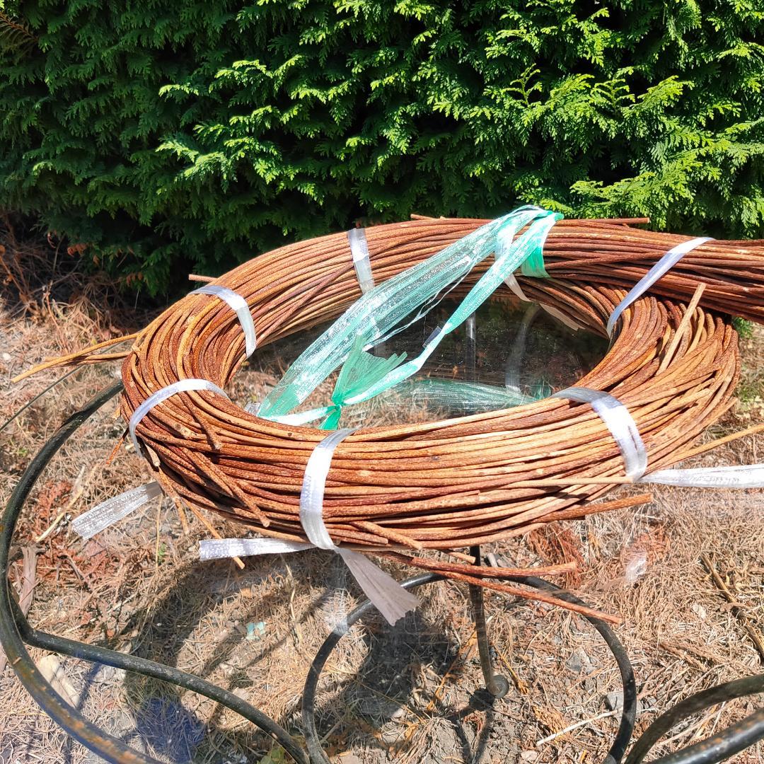 青森県岩木山採取　あけび蔓　150cm～　1kg